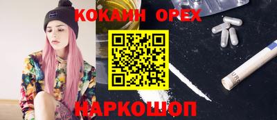 эйфоретик Гусев