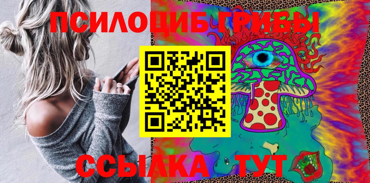 Псилоцибиновые грибы Psilocybine cubensis Армавир